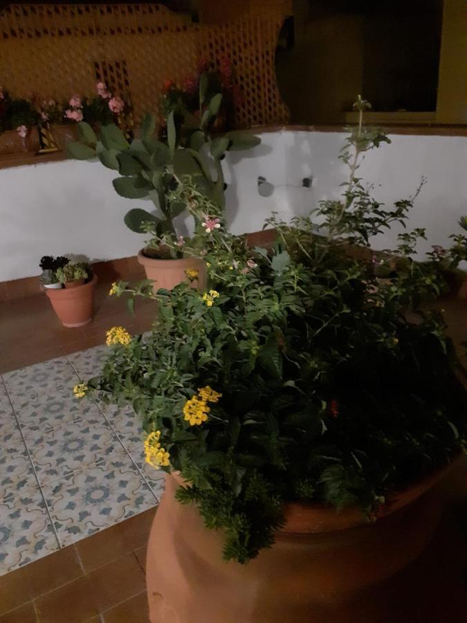فيلا Dolce Far Niente نوتو المظهر الخارجي الصورة